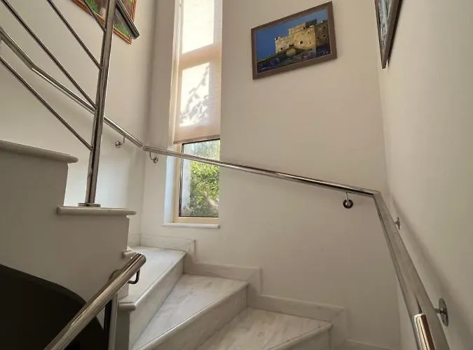 Amorosa 14 * ネオ・チョリオ