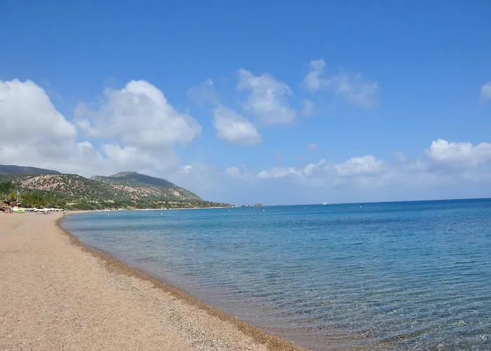 ヴィラ Amorosa 14